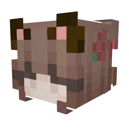 Chitaso Minecraft avatar head, 3D render