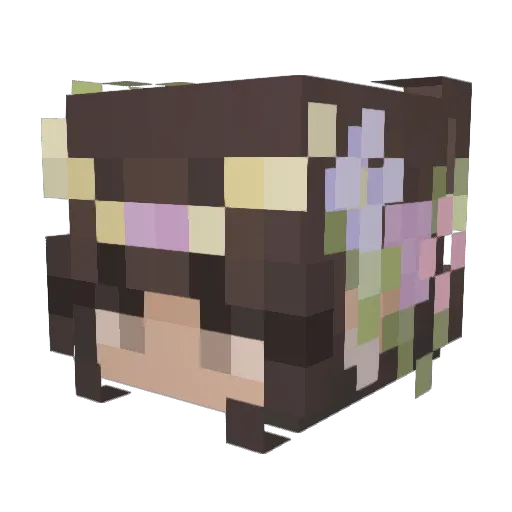 Chiveeli Minecraft avatar head, 3D render