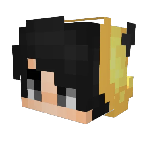 Chiwi_Tan Minecraft avatar head, 3D render
