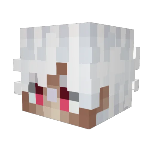 Chiyeonsa Minecraft avatar head, 3D render