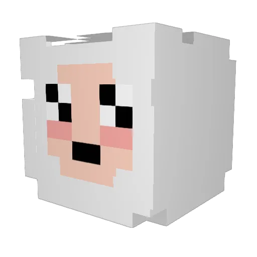 Chizzle320 Minecraft avatar head, 3D render