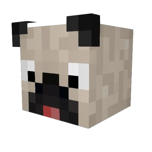 Chknsoup Minecraft avatar head, 3D render