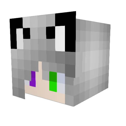 Chknwaffle Minecraft avatar head, 3D render