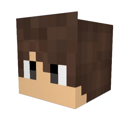 Chlamydius Minecraft avatar head, 3D render