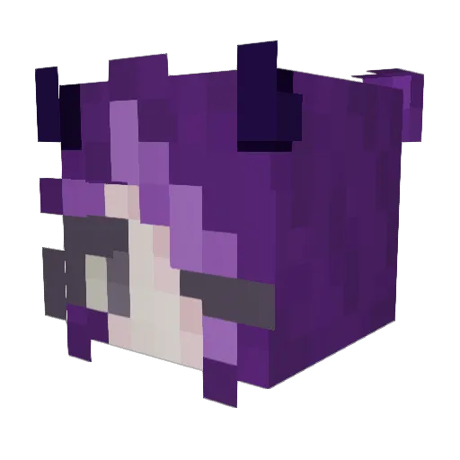 Chlebcia Minecraft avatar head, 3D render