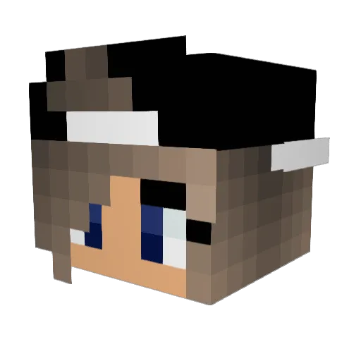 Chll0e Minecraft avatar head, 3D render