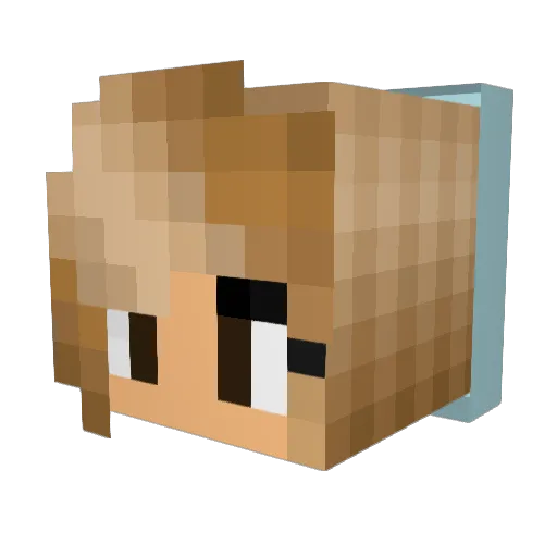 ChloBird79 Minecraft avatar head, 3D render