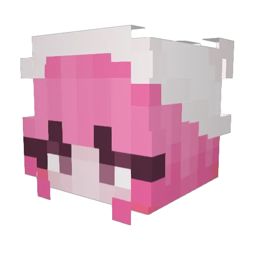 Chloe101666 Minecraft avatar head, 3D render