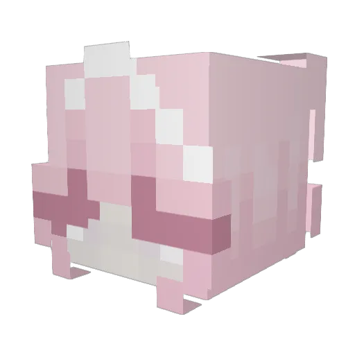 Chloe454 Minecraft avatar head, 3D render