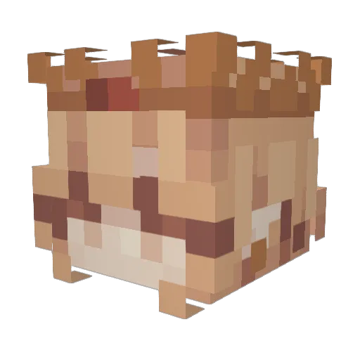 ChloeHolidayzz Minecraft avatar head, 3D render