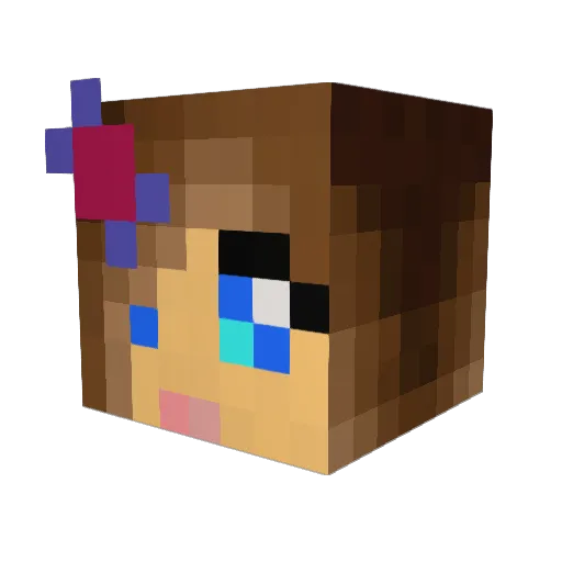 Chloe_turtle Minecraft avatar head, 3D render