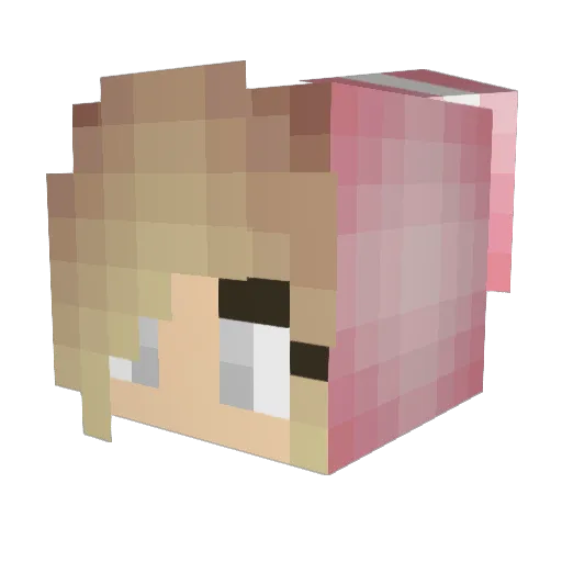 Chloebo03 Minecraft avatar head, 3D render
