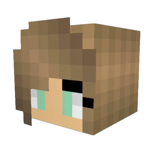 Chloebot Minecraft avatar head, 3D render