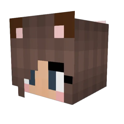 Chloeechlo Minecraft avatar head, 3D render