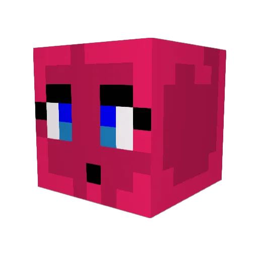 Chloepup9 Minecraft avatar head, 3D render