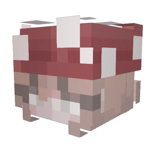 Chloexx1 Minecraft avatar head, 3D render