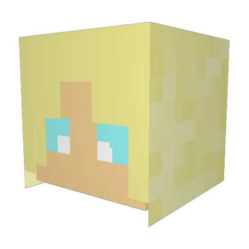 Chlope_Plope Minecraft avatar head, 3D render