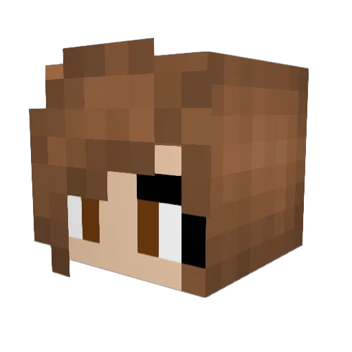 ChlorineLover Minecraft avatar head, 3D render