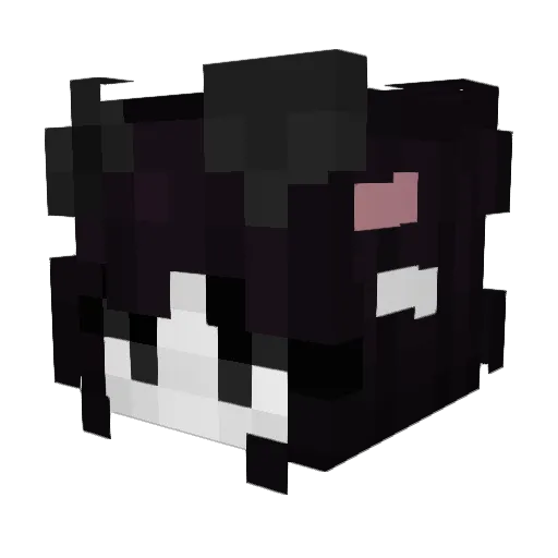 Chluppy Minecraft avatar head, 3D render