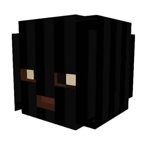 Chmurka9971 Minecraft avatar head, 3D render