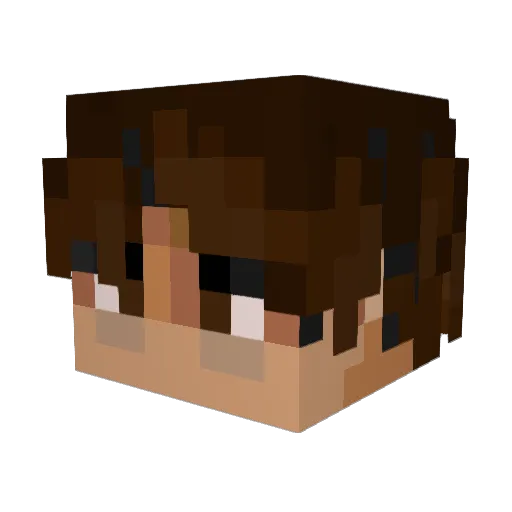 Chnl4 Minecraft avatar head, 3D render