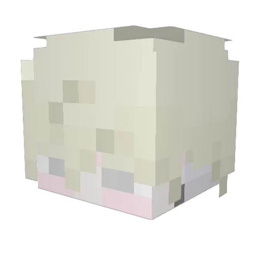 Chobo_im Minecraft avatar head, 3D render