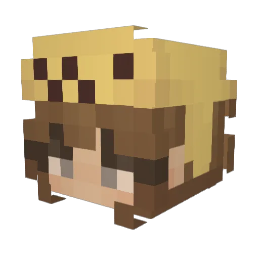 Chocapiktt Minecraft avatar head, 3D render