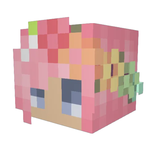 Chocco_Buttons Minecraft avatar head, 3D render