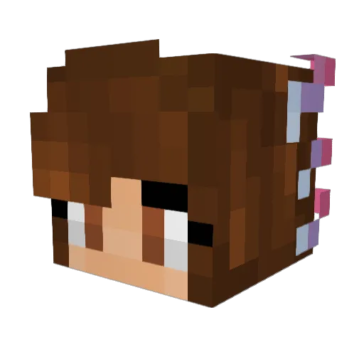 Chocipop Minecraft avatar head, 3D render