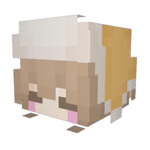 Choco1703 Minecraft avatar head, 3D render