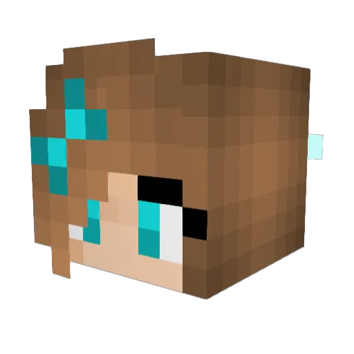 ChocoCat60 Minecraft avatar head, 3D render