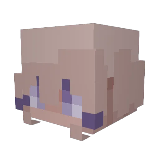 ChocoGurl123 Minecraft avatar head, 3D render