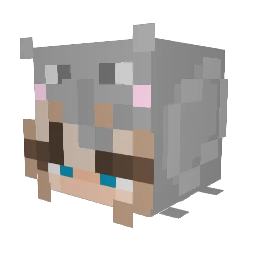 Choco_Blox Minecraft avatar head, 3D render