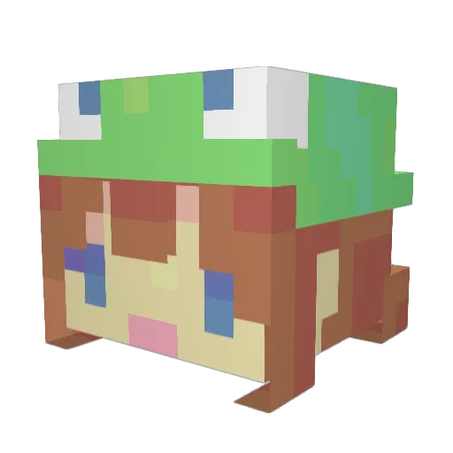 Choco_Boo Minecraft avatar head, 3D render