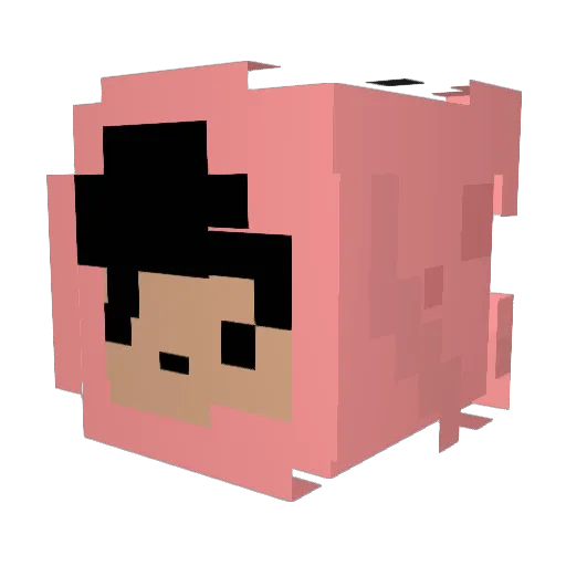 Choco_latine Minecraft avatar head, 3D render