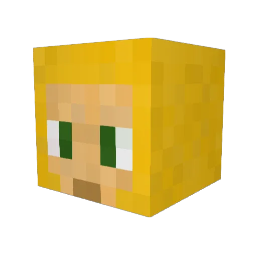 Chocobr0 Minecraft avatar head, 3D render