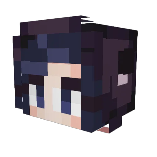 Chocol8Digestive Minecraft avatar head, 3D render