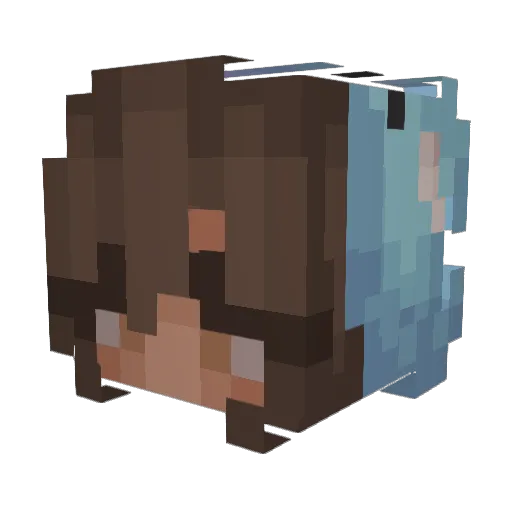 ChocolatSpirit Minecraft avatar head, 3D render