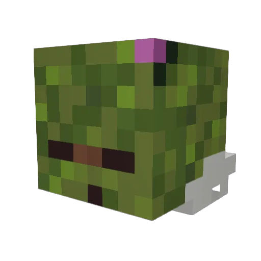 ChocolateKuns Minecraft avatar head, 3D render