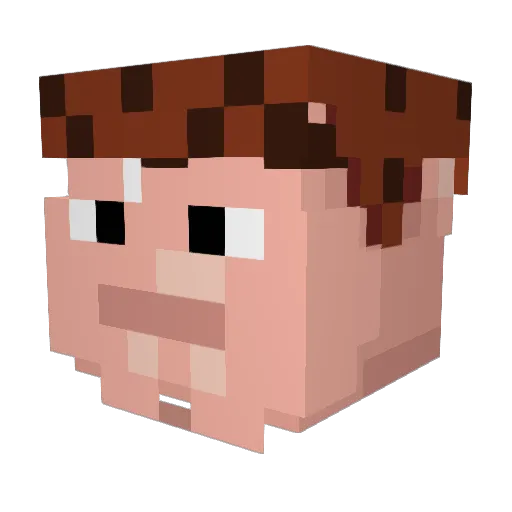 ChocolateSponge Minecraft avatar head, 3D render
