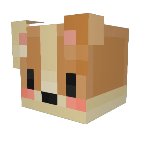 Chocolateblock Minecraft avatar head, 3D render