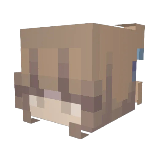 Chocomillk Minecraft avatar head, 3D render