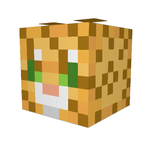 Chocoportals Minecraft avatar head, 3D render