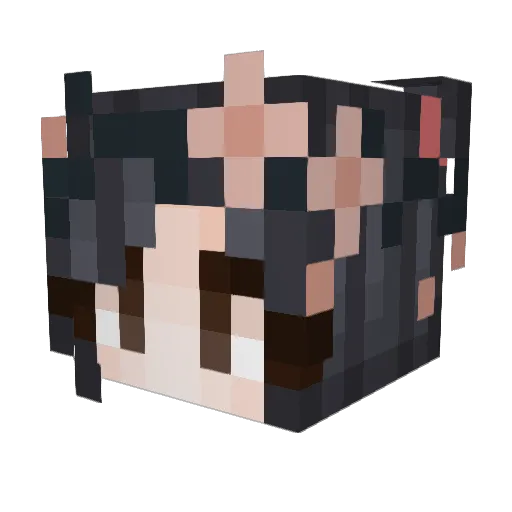 Chocotiger Minecraft avatar head, 3D render