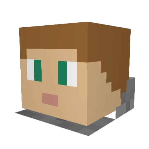 ChoctawOutlaw Minecraft avatar head, 3D render