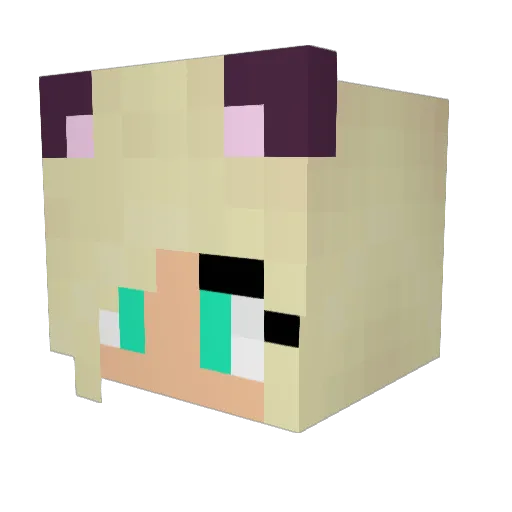 Choedon Minecraft avatar head, 3D render