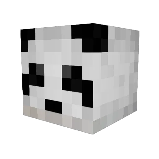 Choi555 Minecraft avatar head, 3D render