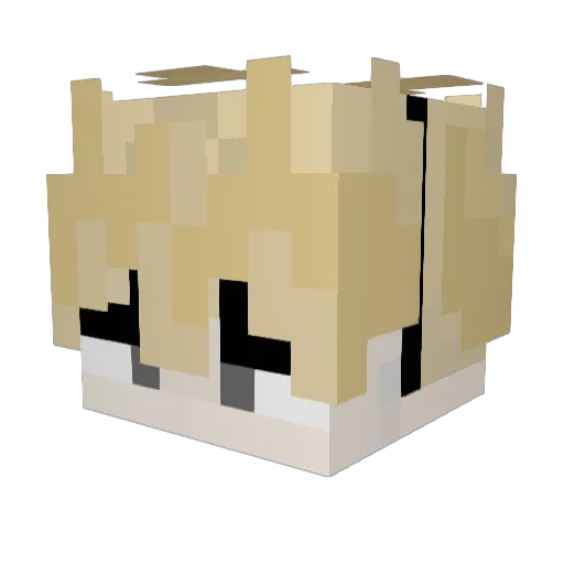 Choibob Minecraft avatar head, 3D render
