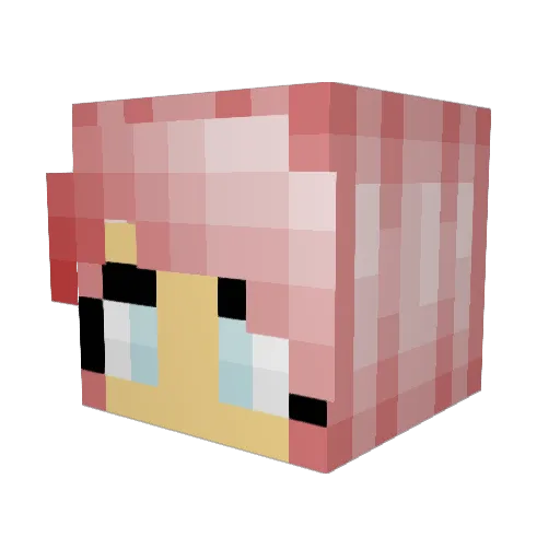 ChoirKid1998 Minecraft avatar head, 3D render