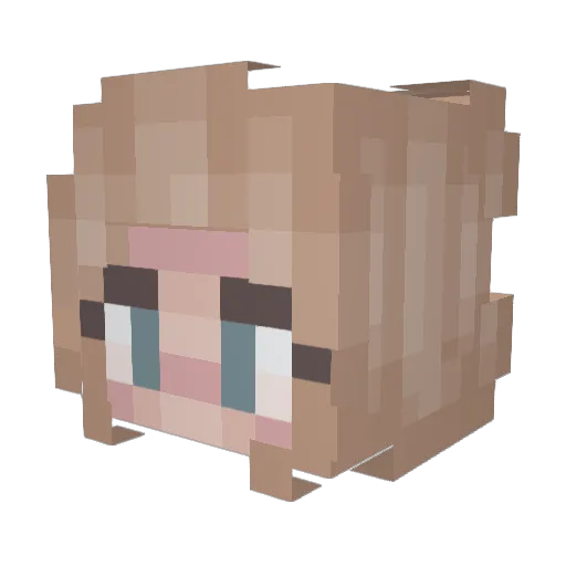 Chojnacky Minecraft avatar head, 3D render